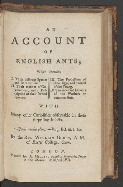 Title page, <i>An Account of English Ants</i>, by William Gould, 1747 (Linda Hall Library)