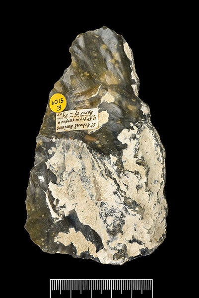 Hand-axe from Saint-Acheul, Amiens, found by Joseph Prestwich and John Evans on Apr. 27, 1859, with label, Natural History Museum, London (nhm.ac.uk)