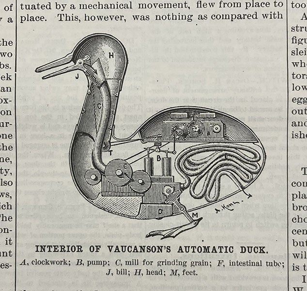 “Vaucanson’s Automatic Duck,” a fanciful reconstruction on paper of the innards of the Defecating Duck, Scientific American, Jan. 21, 1899 (Linda Hall Library)