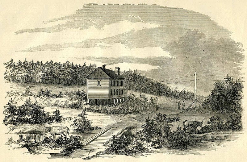 Telegraph House, Bay Bulls Arm, Trinity Bay, Newfoundland, already connected to New York City, and ready to receive the Atlantic Cable, Frank Leslie’s Illustrated Newspaper, Sept. 4, 1858, reproduced on atlantic-cable.com (atlantic-cable.com)