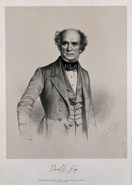 Portrait of Daniell Erg, lithograph by Thomas Maguire, 1850, Wellcome Collection (wellcomecollection.org)