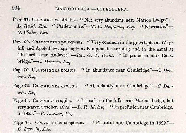 Detail of a page from the appendix, with 5 citations to Charles Darwin, in James Francis Stephens, Illustrations of British Entomology, vol. 2, 1829 (Linda Hall Library)