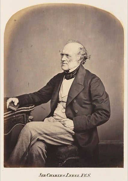 Portrait of Charles Lyell, to whom Darwin sent a letter on June 18, 1858, after receiving one from Alfred Russel Wallace, albumen print, ca 1855, National Portrait Gallery, London (npg.org.uk)