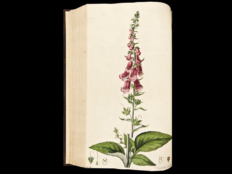 William Withering Linda Hall Library