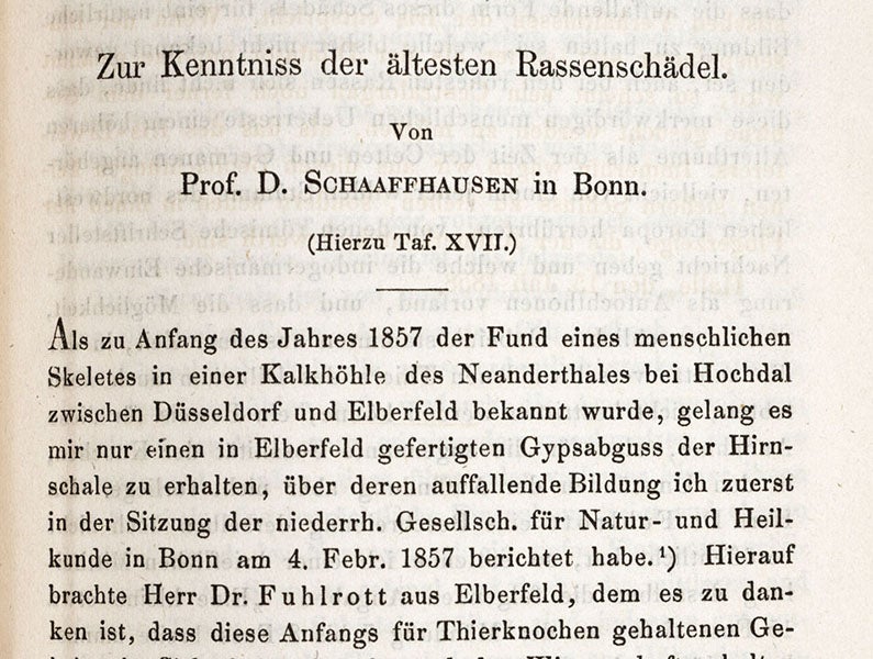 Detail of opening page of Hermann Schaaffhausen’s paper in Archiv fur Anatomie, Physiologie und Wissenschaftliche Medicin, vol. 25, 1858 (Linda Hall Library)