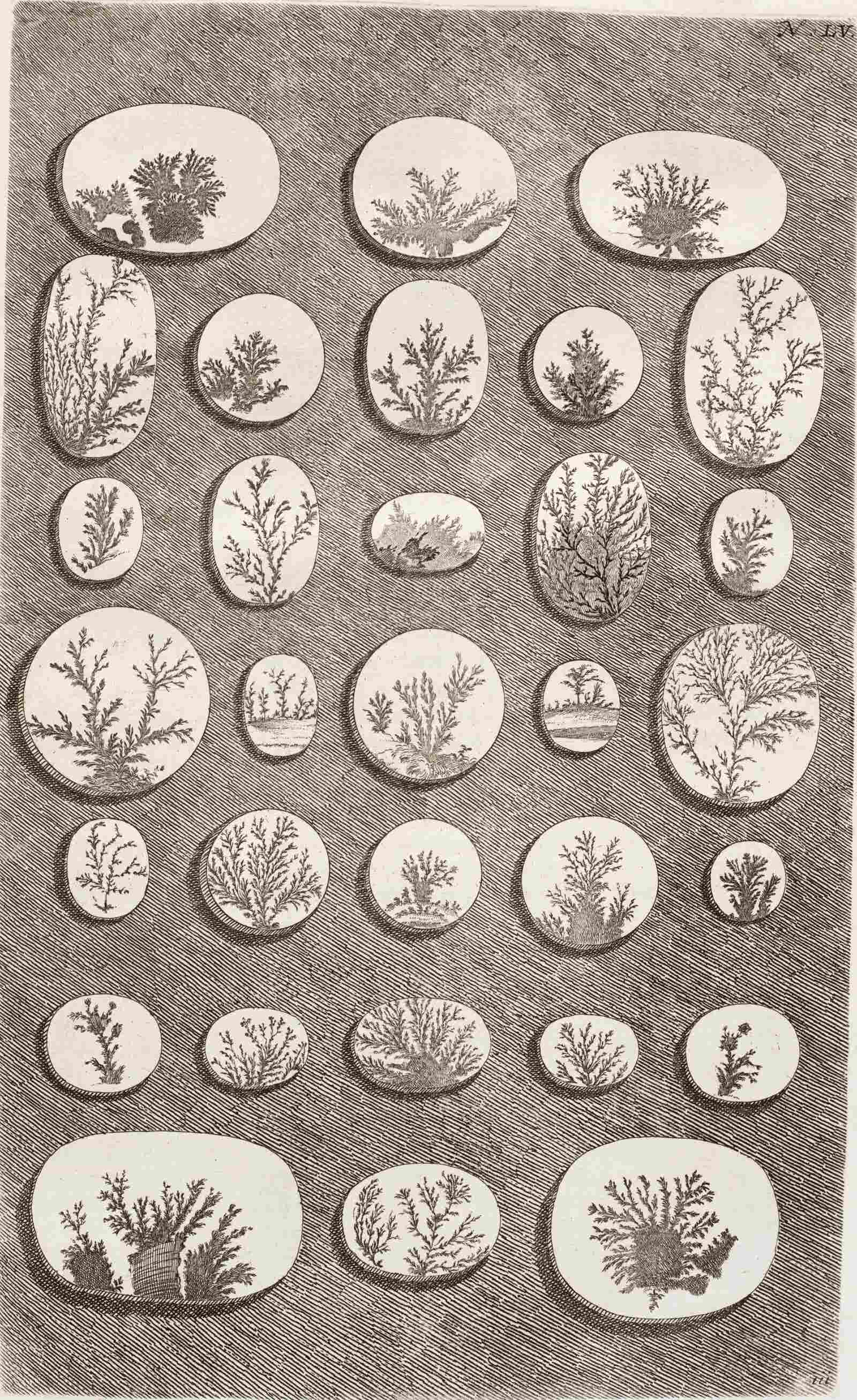 Print Before Historical Printing Techniques - The Linda Hall