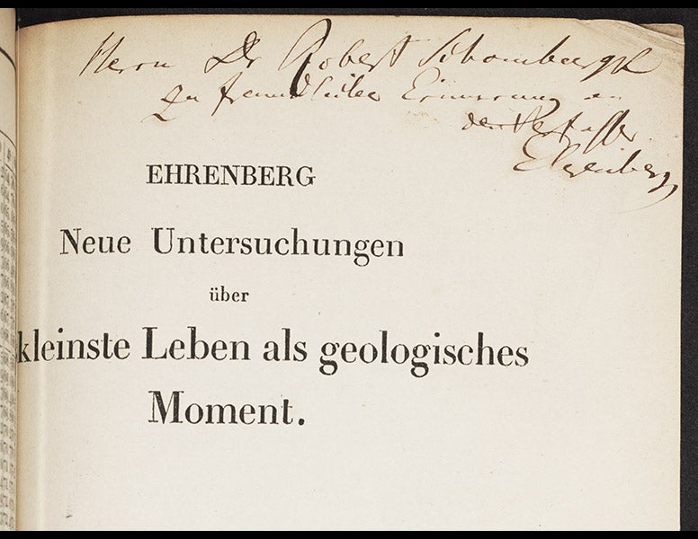 1119_004, 6/1/18, 2:31 PM,  8C, 4208x8000 (534+0), 100%, Custom,  1/60 s, R86.2, G72.0, B82.4