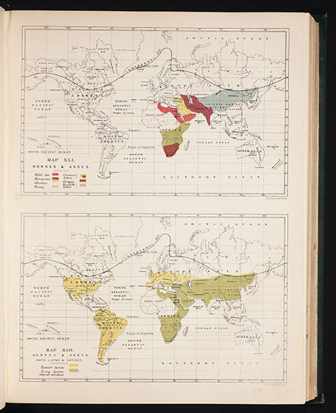 Map of the distribution of living horses and asses (<i>top</i>) and extinct and living equines (<i>bottom</i>), Murray, <i>Geographical Distribution of Mammals</i>, 1866 (Linda Hall Library)