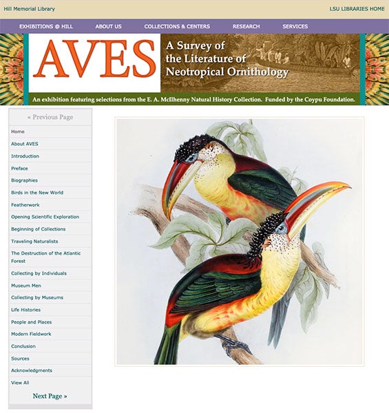 Home page of the online exhibition, <i>Aves: A Survey of the Literature of Neotropical Ornithology</i>, showcasing the McIlhenny Collection, 2011 (LSU Libraries Special Collections)