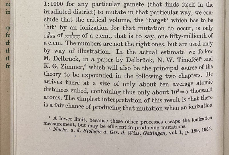 Detail of page 44 of What is Life? The Physical Aspect of the Living Cell, by Erwin Schrödinger, 1944, citing the Three-Man Paper (author’s copy)