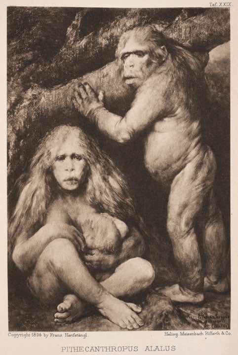 Depiction of a Pithecanthropus family. Image source: Haeckel, Ernst. Natürliche Schopfungsgeschichte. Berlin: Reimer, 1898, pl. 29. 