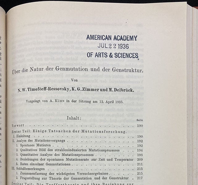 First page of the “Three-Man Paper,” by N.W. Timoféeff-Ressovsky, Karl Zimmer, and Max Delbrück, in Nachrichten aus der Biologie, vol. 1, 1935 (Linda Hall Library)