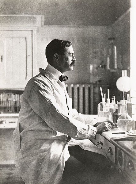 A younger Karl Landsteiner in the lab, photograph, unknown date (@nobelprize on facebook.com)