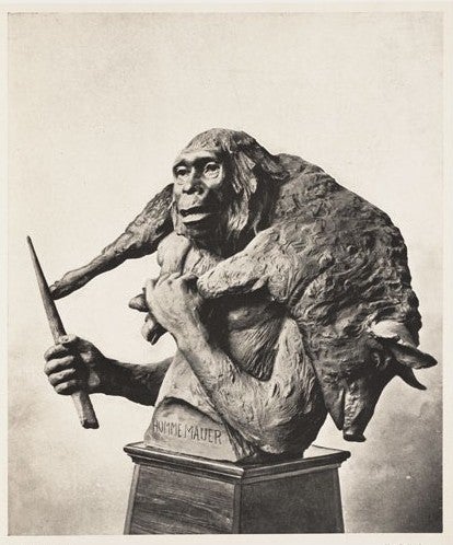 The Mauer man. Image source: Rutot, Aimé. Un essai de reconstitution plastique des races humaines primitives. Brussels: Hayez, 1919, pl. 4.