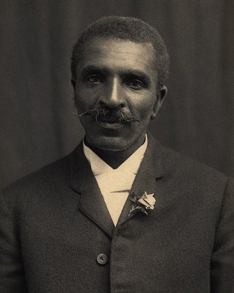 Portrait of George Washington Carver, photograph, ca 1910, Tuskegee University Archives/Museum (Wikipedia)