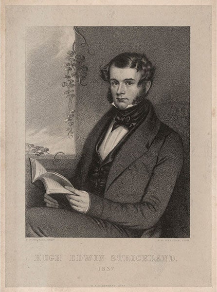 Portrait of Hugh Strickland, lithographed by Thomas H. Maguire after a drawing by Francis Wilkin, 1837 (National Portrait Gallery, London)