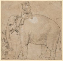 Drawing of Hanno the elephant in Rome, ink on brown paper, Raphael or his workshop, 1515, Kupferstichkabinett, State Museum of Berlin (Wikimedia commons)
