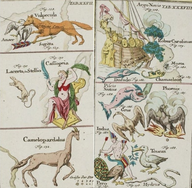 L: Detail of Vulpecula, Sagitta, Cassiopeia, Lacerta, and Camelopardalus. Image source: Rost, Johann Leonhard. Atlas portatilis coelestis. Nuremberg: Verlegt und zu finden bey Johann Christoph Weigel, 1723, pl. 27.

R: Argo and the southern constellations. Image source: Rost, Johann Leonhard. Atlas portatilis coelestis. Nuremberg: Verlegt und zu finden bey Johann Christoph Weigel, 1723, pl. 38.
