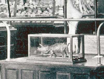 Triceratops model. This work was on display in the original exhibition as item 23. Image source: Merrill, George P. "Report on the Department of Geology for the Year 1900-1901," in: Annual Report of the Board of Regents of the Smithsonian Institution. Report of the U. S. National Museum, for the year ending June 30, 1901, pl. 58.