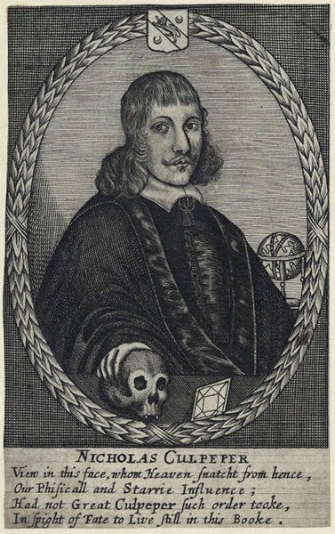 Portrait of Nicholas Culpeper (National Portrait Gallery, London)