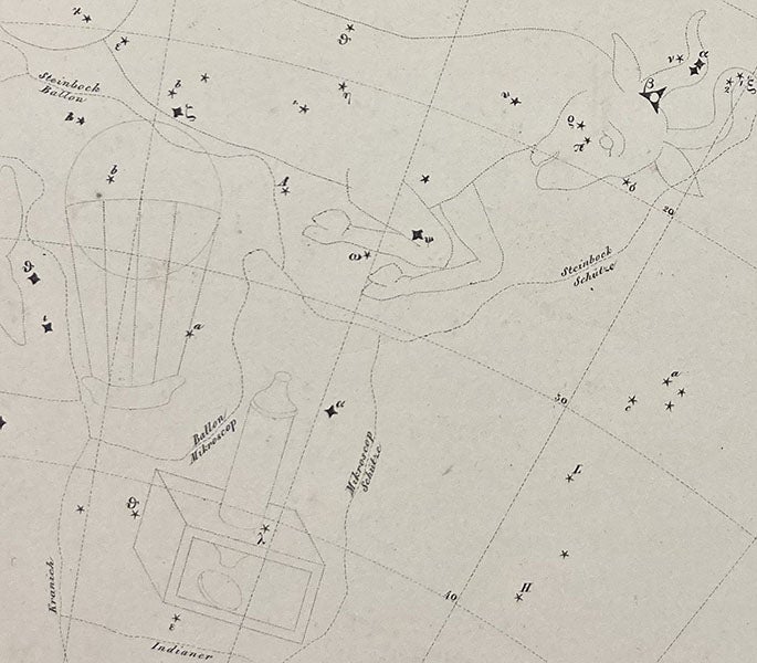 Detail of Capricorn, Globus Aerostaticus (Balloon), Microscopium, the latter two being non-traditional southern constellations, although Microscopium has been accepted, Atlas des gestirnten Himmels, by Joseph Johann Littrow, plate XXII, 1839 (Linda Hall Library)