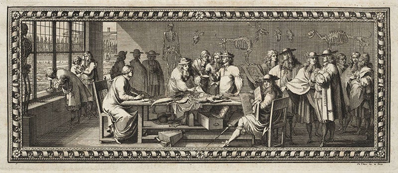 Paris Academy anatomists at work, engraved headpiece in Claude Perrault, Memoires pour servir à l'histoire naturelle des animaux, 1676 (Linda Hall Library)