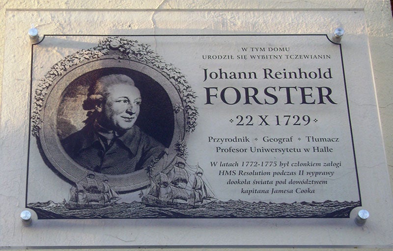 Memorial stone in honor of Johann Reinhold Forster, birthplace in Tzcew, Poland (Wikimedia commons)