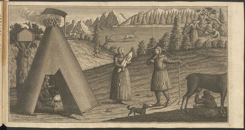 Scene depicting Sami life and activities, folding etched and engraved plate, in Beschreibung von Lappland, by Pehr Högström, 1748 (Linda Hall Library)