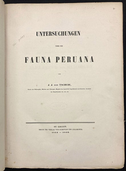Title page, Untersuchungen über die fauna Peruana, by Johann Jakob von Tschudi, 1844-46 (Linda Hall Library)