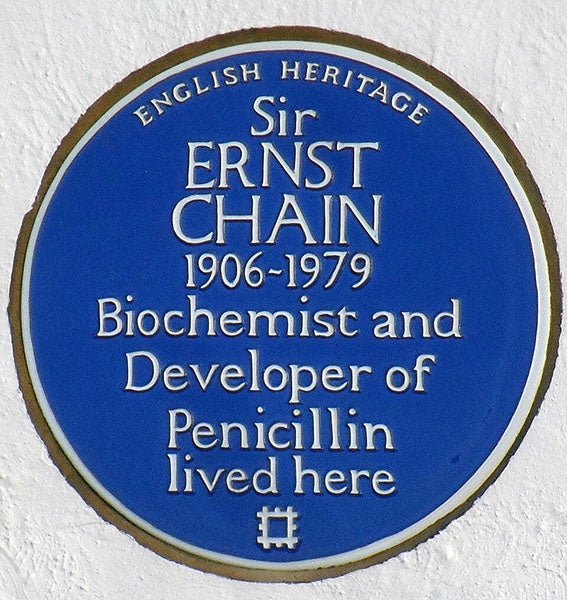 Blue plaque for Ernst Chain, at his home, 9 North View Wimbledon Common, London (Wikimedia commons)
