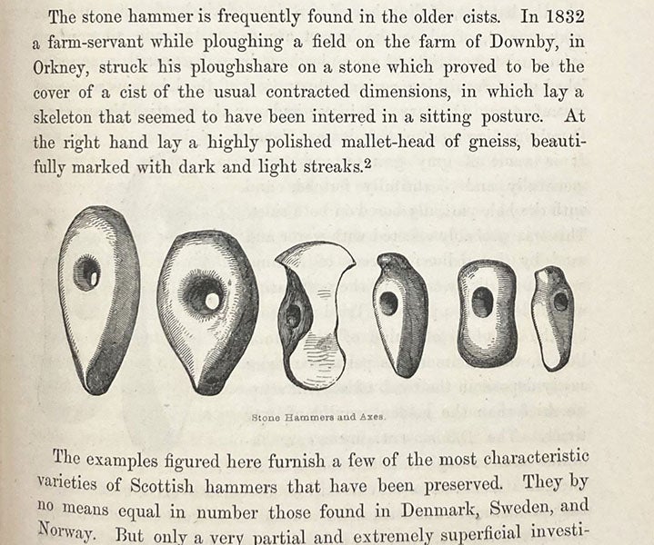 Prehistoric polished stone tools from Scotland, wood engraving, The Archaeology and Prehistoric Annals of Scotland, by Daniel Wilson, 1851 (Linda Hall Library)