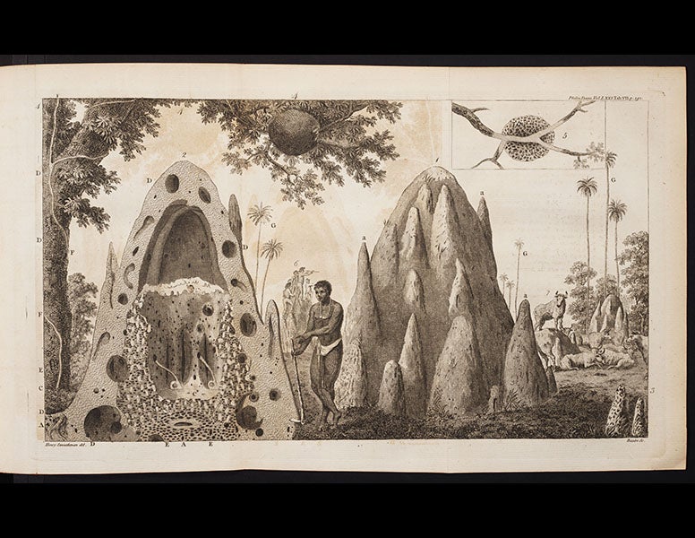 <p>Linda Hall Library</p>