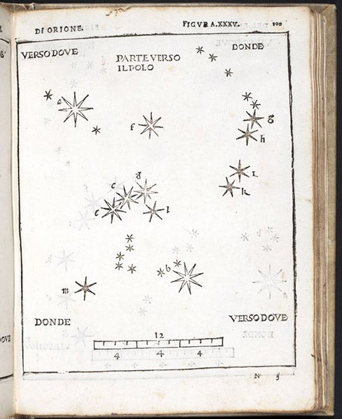 The constellation Orion, woodcut in De la sfera del mondo … De le stelle fisse, by Alessandro Piccolomini, plate 35, 1540 (Linda Hall Library)