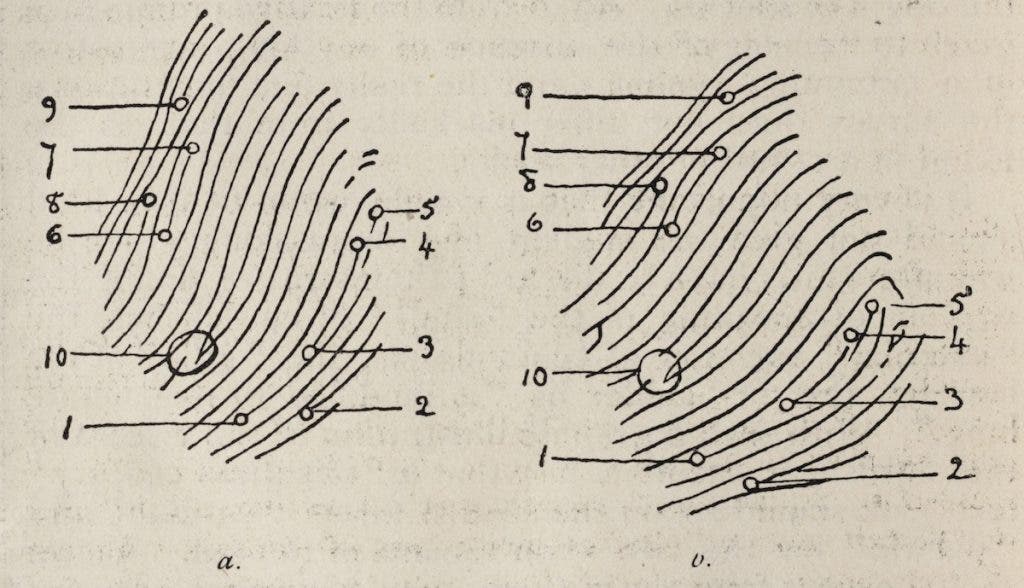 05. Fingerprints - Linda Hall Library
