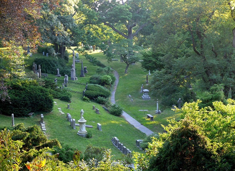 Mount Auburn Cemetery, between Cambridge and Watertown, Massachusetts (popsci.com)