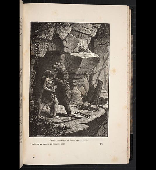 Henri Raison du Cleuziou Linda Hall Library