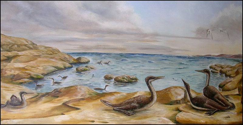 Hesperornis mural at the Museum of Natural History, University of Kansas, Lawrence (oceansofkansas.com)