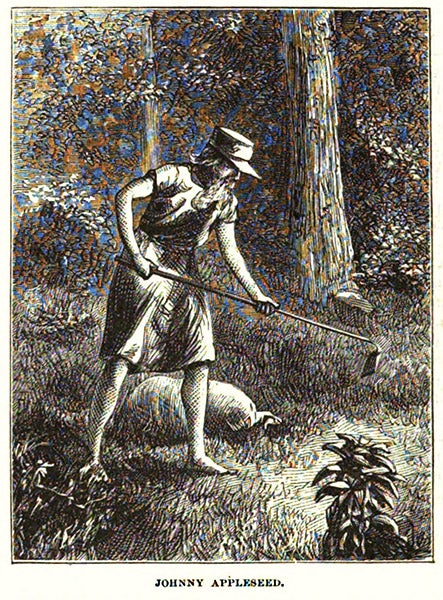 Johnny Appleseed (John Chapman), woodcut in Harper’s New Monthly Magazine, vol. 43, no. 258, Nov. 1871 (Harvard University copy on hathitrust.org)