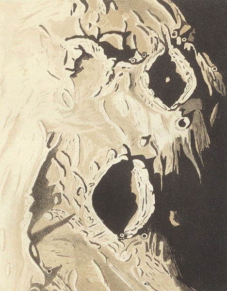 The lunar crates Godin and Agrippa just after sunrise, tinted lithograph based on drawing by Edmund Neison, in his book, <i>The Moon and the Condition and Configurations of its Surface</i>, 1876 (Linda Hall Library) 