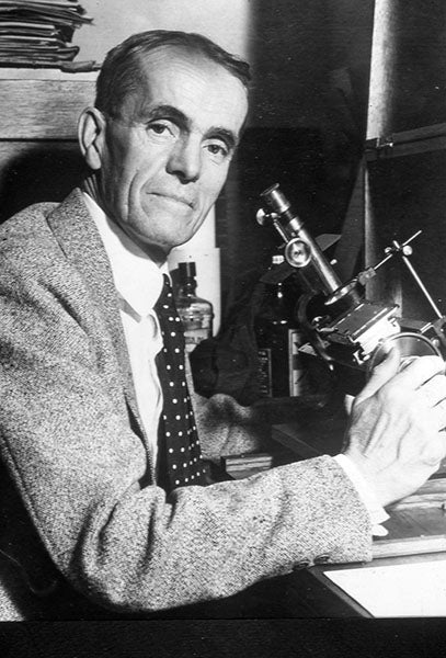 Portrait of Walter Sydney Adams, photograph, undated (britannica.com)