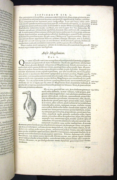Entire page with woodcut of penguin, Exoticorum libri decem, by Carolus Clusius, p. 101, 1605 (Linda Hall Library)