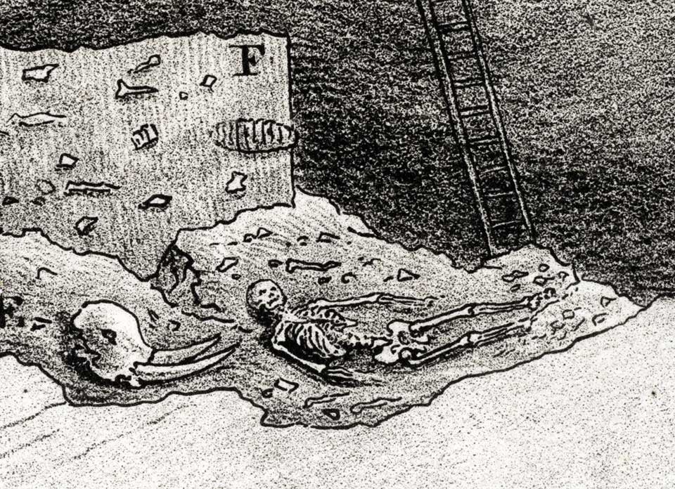 Detail of human skeleton known as the “Red Lady of Paviland” next to a mammoth skull. Image source: Buckland, William. Reliquiae Diluvianae. London: John Murray, 1823, pl. 21.