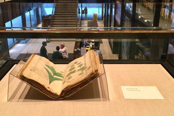 Voynich manuscript on display in Beinecke Library, Yale (Beinecke Library)