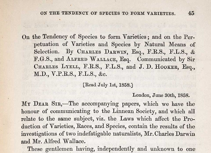 First paragraph of joint papers by Charles Darwin and Alfred Russel Wallace, “On the Tendency of Species to form Varieties…,” Journal of the Proceedings of the Linnean Society, Zoology, vol. 3, p. 45, 1859 (Linda Hall Library)