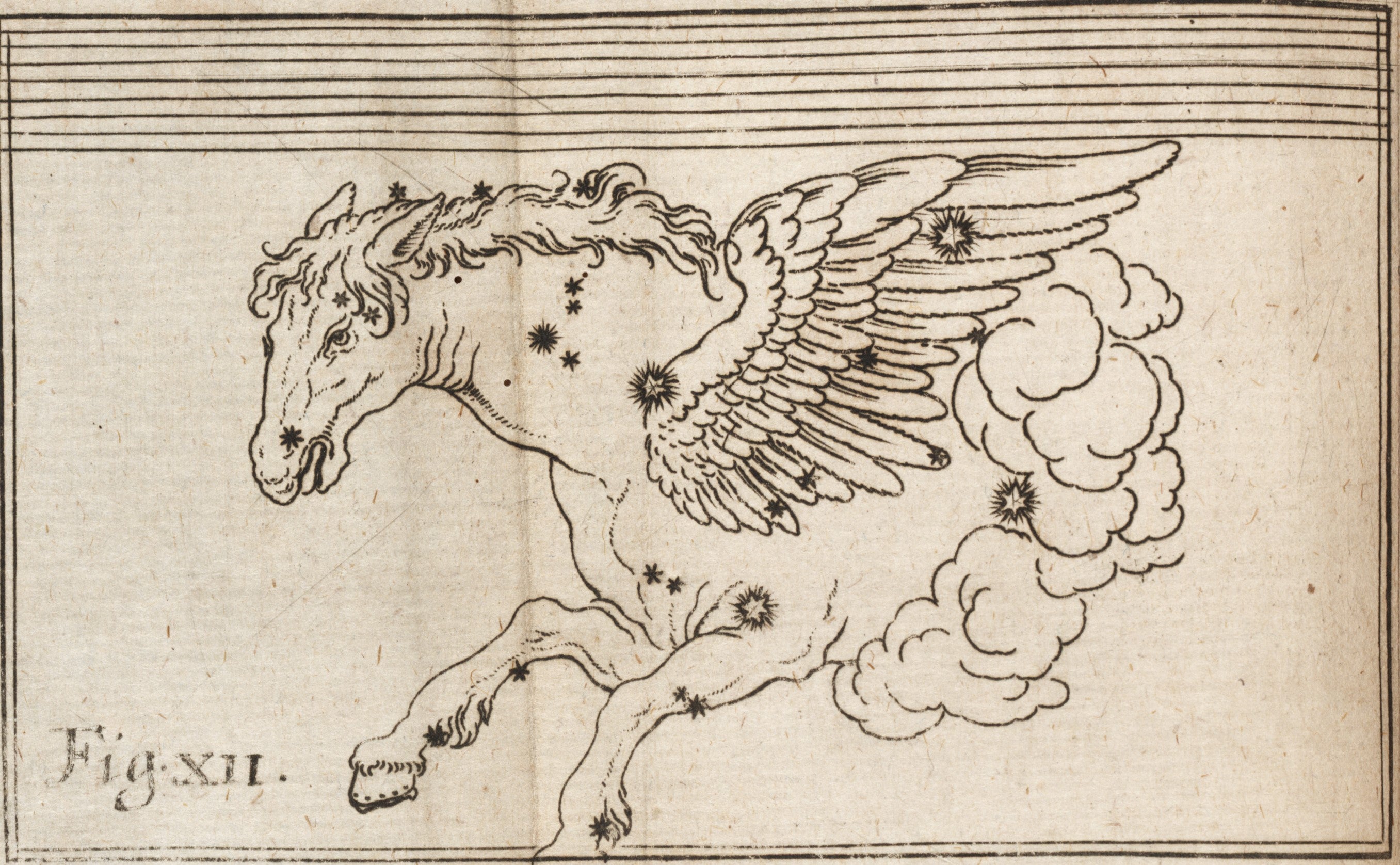 Pegasus. Image source: Strauch, Aegidius. Astrognosia, synoptice et methodice…. Editio secunda. Wittenberg: Sumptibus Haered, et al, 1668, pl. 12.