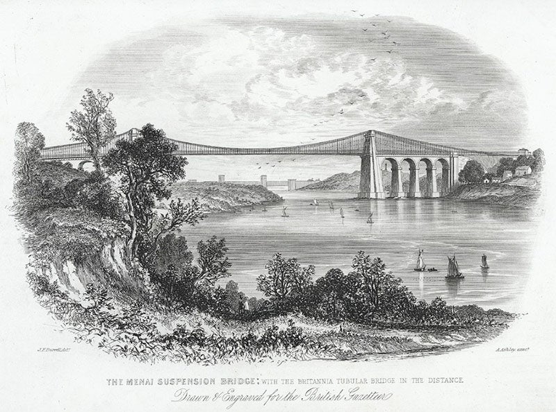 View of the Menai Suspension Bridge, foreground, and the Britannia Bridge in the distance, engraving by Alfred Ashley after drawing by Joseph Burell, 1850, National Library of Wales (Wikimedia commons)