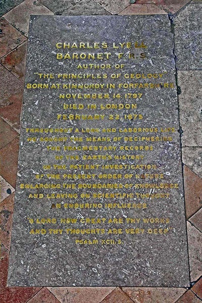 Memorial plaque for Charles Lyell, Westminster Abbey, north aisle, London (westminster-abbey.org)