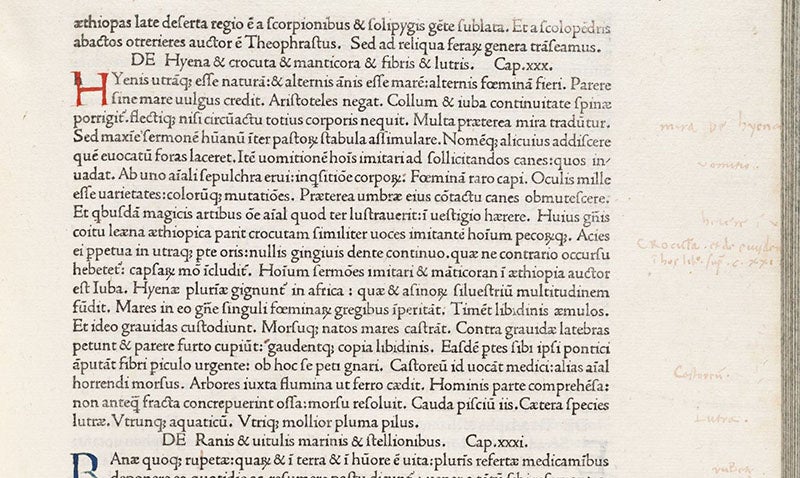 Passage describing the hyena, Naturalis historia, by Pliny the Elder, Venice, Nicolas Jenson, book 8, chap 30, 1472 (Linda Hall Library)