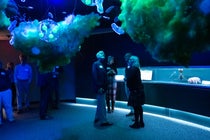 What Did We Think We Knew? On wonder, paradigm, and The Alchemy of Knowledge 