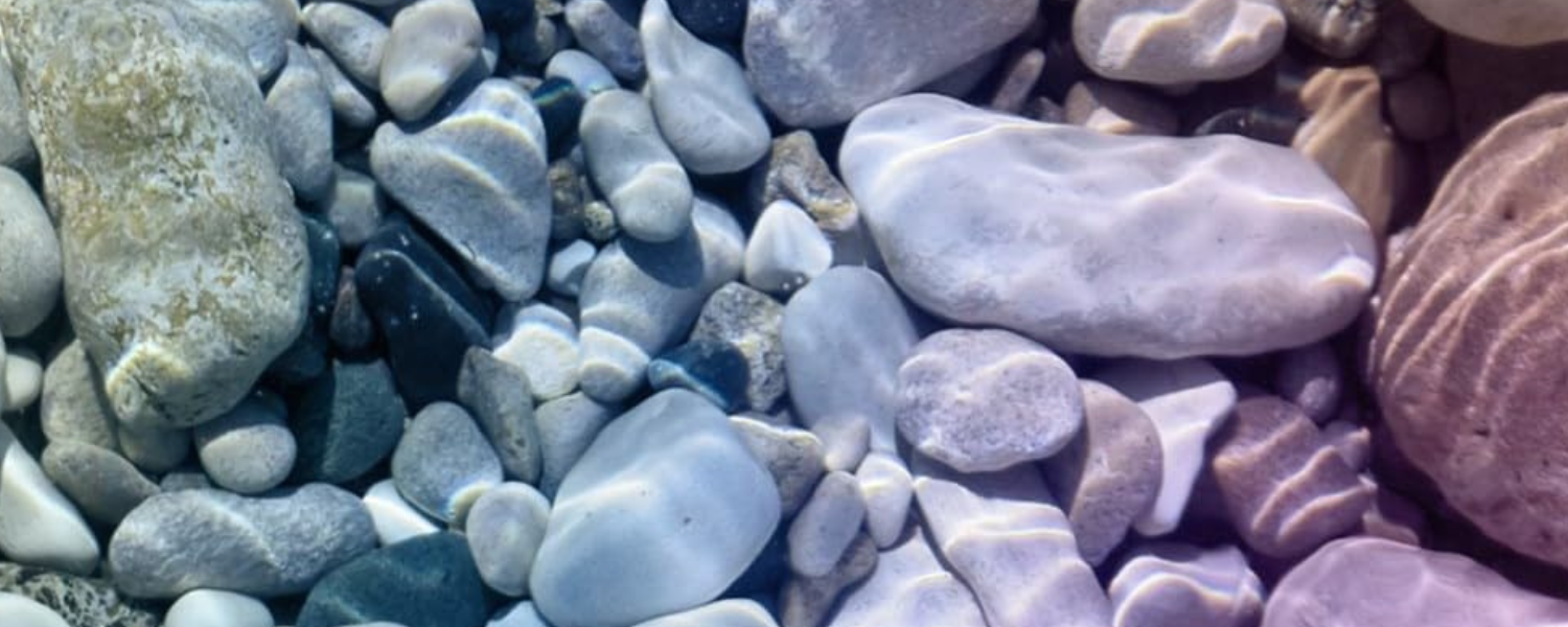 Underflows: Queer Trans Ecologies and River Justice by Cleo Wölfle Hazard